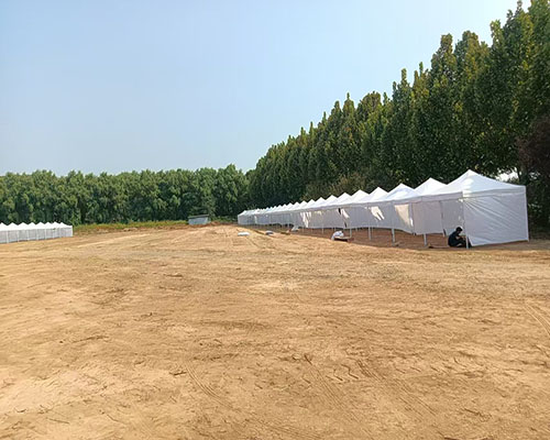 家具租赁 家具租赁