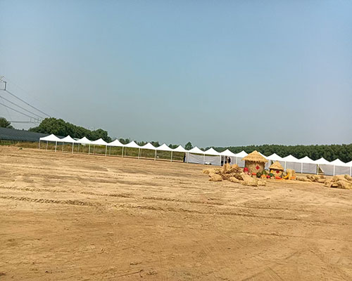 家具租赁 家具租赁